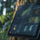 Broadleaf Impact Management